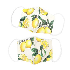 yʊ50%OFFzy䂤pPbgzz lp}XN t[TCY 2Zbg CI RۃK[[ VgX 􂦂 z   킢 wZ