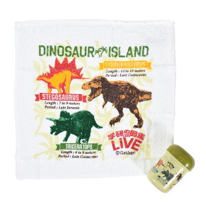 yڂZbgz ڂ^I ۈ牀 q LN^[  P[Xt ڂP[X j̎q nJ`^I Zbg nh^I 킢  b fBmUEX ڂ 