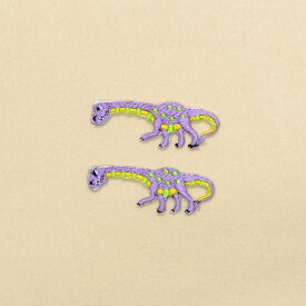 ワッペン アパトサウルス (2個セット) 子供用 ワッペン アイロン アップリケ 幼児 子供 かわいい おしゃれ 小学校