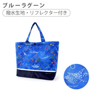 bXobO j̎q  V_[ sAm LeBO v[obO }`t   G{ ʊw ObY q obO ʉobO w g[gobO | 