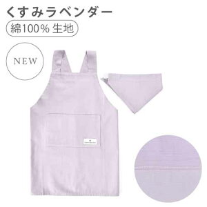 y{ 10OFFzLbYGv t@^W[ ̎q jR[ o^tC o[ LfB qGv pXe 킢 Op Gv q 160 150 140 130 120 110 100 w l