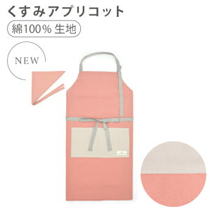 �yXmas���ʊ����z�L�b�Y�G�v���� �t�@���^�W�[ ���̎q ���j�R�[�� �o�^�t���C �o���[�� �L�����f�B �q���G�v���� �p�X�e�� ���킢�� �O�p�� �G�v���� �q�� 160 150 140 130 120 110 100 ���w�� �l�[��