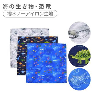 `NX j̎q HitL 2Zbg X^_[h`}bg ` NX itL wZ H ٓ e[u NX H ` }bg  wZ