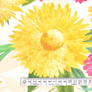 n ԕ {^jJ CG[ K[xfCW[ 11znpp