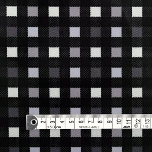 pp n ~l[g n ubN mN[`FbN ~l[gi0.2mmjn