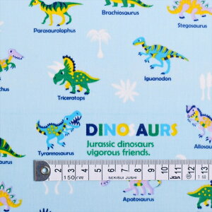 pp n ~l[g  n  XJC j̎q ҂WiXPA[n Cgu[j ~l[g  0.08mm n