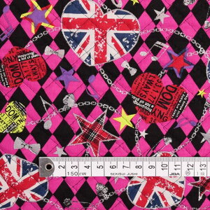 pp n LeBO n j̎q sN j̎q pNnA[KC LeBOn