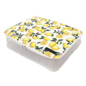 gx|[` 킢 ʗp ւ XLPA LTCY s o A Lv VgX jog