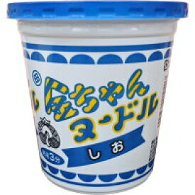 金ちゃんヌードル しお 12個 (送料無料 ※一部地域除く)まとめ買い らーめん カップ 塩 太麺 ケース 即席 インスタント カップめん カップ麺