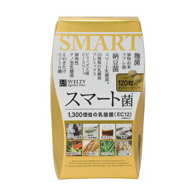 スベルティ スマート菌 120粒 (メール便送料無料) SVELTY スベルティ キダチアロエ 乳酸菌 ビフィズス菌 納豆・納豆菌 ラブレ菌 ダイエット