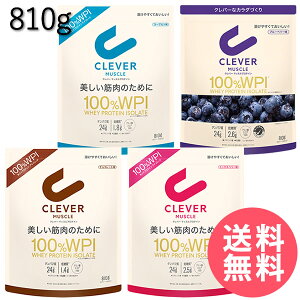�N���o�[ �}�b�X�� WPI �z�G�C�v���e�C�� 810g (�S���ꗥ��������) �v���e�C�� ���^���p�N�� �ᓜ�� �ᎉ�� �ؓ� �؃g�� �z�G�C �A�C�\���[�g BCAA �A�~�m�_ �O���^�~���_ �A�X���[�g �z�G�C�v��