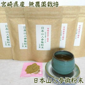 宮崎県産 無農薬栽培 日本山人参微粉末 50g 専用スプーン付 (メール便送料無料) 日向当帰 ヒュウガトウキ 無農薬 日本山人参 国産 ポリフェノール 1袋湯呑約100杯分