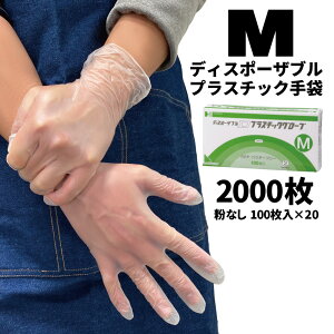 fBX|[Uu GRvX`bNO[u MTCY 100 Ȃ 20(1407~)424334 [Piz]