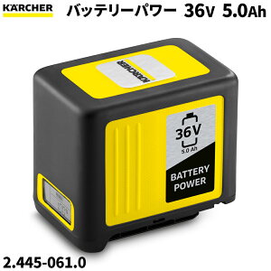Pq[ KARCHER obe[p[ 36/50 36V 5.0Ah 2.445-061.0 [s]