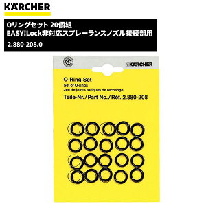 Pq[ KARCHER OOZbg 20g 2.880-208.0