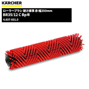 Pq[ KARCHER [[uV dW  350mm 4.037-031.0 [s]