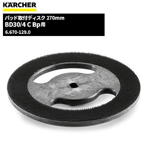 Pq[ KARCHER pbhtfBXN 270mm BD30/4C Bpp 6.670-129.0 [s]