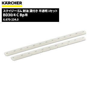 Pq[ KARCHER XNCW[S ϖ BD30/4CBpp 1Zbg 6.670-234.0 [s]