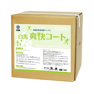  n uR[g 18L 101260 [s]