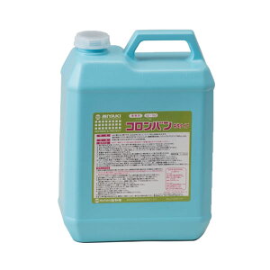 �~���L �R�����o�� ���� 4L [����s��]