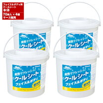 楽天市場】サラヤ フェイス＆ボディ用クールシートの通販