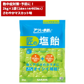 セール価格 サラヤ SARAYA 匠の塩飴 マスカット味 2kg 27859 お買い物マラソンポイント+5倍 5/23 20時~