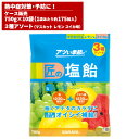 サラヤ SARAYA 匠の塩飴 3種アソート味 マスカット・レモン・スイカ 750g 10袋入 27860