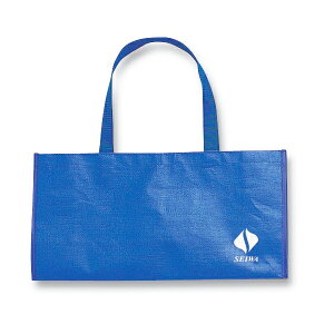 �Z�C�� �}�C�N���L�����[�o�b�O �� BAG-1