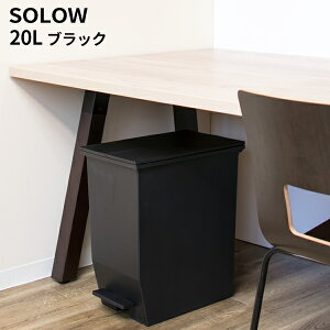 SOLOW \E y_I[vcC20L ubN LX^[t DS-218-820-7
