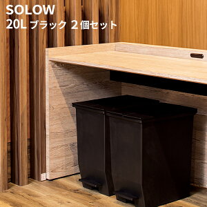 SOLOW \E y_I[vcC20L ubN LX^[t 2 DS-218-820-7 [s]