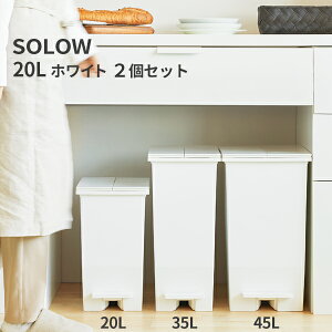 SOLOW \E y_I[vcC20L zCg LX^[t 2 DS-218-820-8 [s]