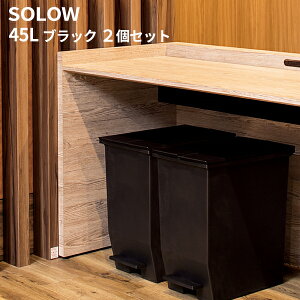 SOLOW \E y_I[vcC 45L ubN LX^[t 2 DS-218-845-7 [s]