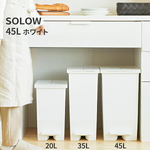 SOLOW \E y_I[vcC 45L  LX^[t DS-218-845-8