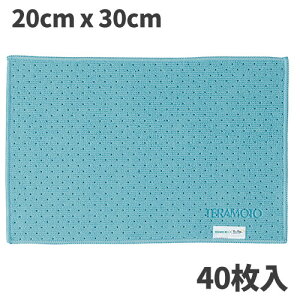 eg FXۃNXTioTio  20×30cm |pi 40 CL-374-940-3 [s]