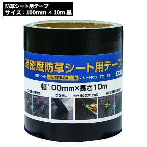 Z[i CmxbNX Dio xhV[gpe[v 100mm x 10m ubN 253307