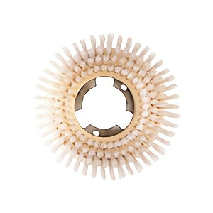 RY Rh c[uV|V[CPW-6p v[gtuV 10 E-60-5 [s]