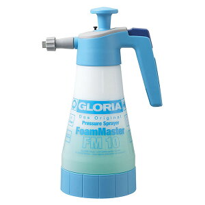 RY A FM10 |pi FM10 [s]