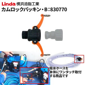 lH Linda JbNpbLEB 830770 [s]