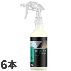 ~bPw Re-Nu! Ej[! 3 800mL 6{ 730210