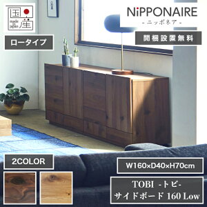 VR TCh{[h TOBI gr [^Cv { 160cm×40cm 70cm 2F EH[ibg I[N o NIPPONAIRE jb|lA \y Lrlbg HI ACh I Lb` [ rO 