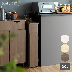 X_Xg{bNX Santia TeBA DB-F170 17cm s44.5cm 80cm S~ LX^[t V _Xg{bNX 30L ؖڒ Lb` ЂƂ炵 bN I ݔ Vv  i`