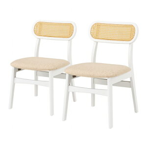 y}\ Xg26HIő20%OFFN[|zzIz_CjO`FA 2rZbg FL-8654-2S 46.5cm s54.5cm 76cm ʍ42cm VR ^ `FA ֎q \t@ x` _C