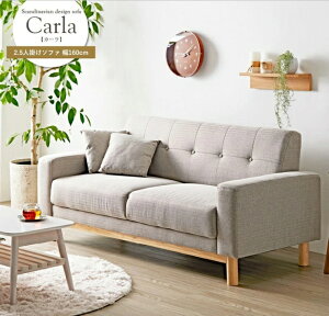 kfUC\t@ J[ IW-705 160cm s76cm 75cm ʍ42cm NbVt 2.5l| VR zn t@ubN \t@ ֎q `FA \t@xbh X RpNg rO _