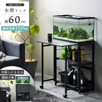 楽天市場】60cm水槽台 キャスターの通販