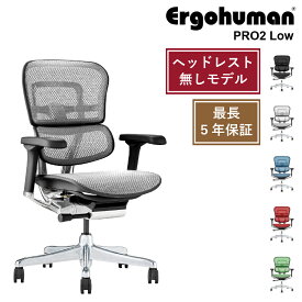 Ergohuman PRO2 Low オフィスチェア エルゴヒューマン ヘッドレスト無しモデル 多機能チェア 高機能 ランバーサポート ハイブリッド リクライニング 座面昇降 奥行調節 アーム調整 ヘッドレスト 腰痛軽減 ゲーミングチェア オフィス デスクチェア 椅子 メッシュ 高級