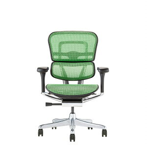 Ergohuman PRO2 Low ItBX`FA GSq[} wbhXgf @\`FA @\ o[T|[g nCubh NCjO ʏ~ s A[ wbhXg 