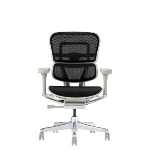 Ergohuman PRO2 Low ItBX`FA GSq[} wbhXgf @\`FA @\ o[T|[g nCubh NCjO ʏ~ s A[ wbhXg 