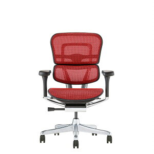 Ergohuman PRO2 Low ItBX`FA GSq[} wbhXgf V @\`FA @\ o[T|[g nCubh NCjO ʏ~ s A[ LX