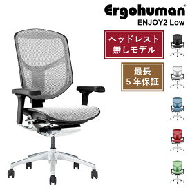 Ergohuman ENJOY2 Low オフィスチェア エルゴヒューマン ヘッドレスト無しモデル 多機能チェア 高機能 ランバーサポート ハイブリッド リクライニング 座面昇降 奥行調節 アーム調整 ヘッドレスト 腰痛軽減 ゲーミングチェア オフィス デスクチェア 椅子 メッシュ 高級