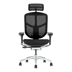 Ergohuman ENJOY2 High ItBX`FA GSq[} wbhXgtf @\`FA @\ o[T|[g nCubh NCjO ʏ~ s A[ wbhX